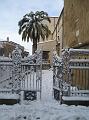 Neve (37)